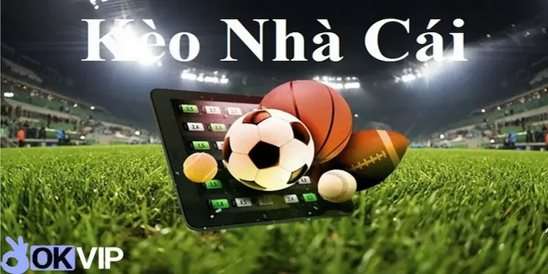 kèo nhà cái OKVIP